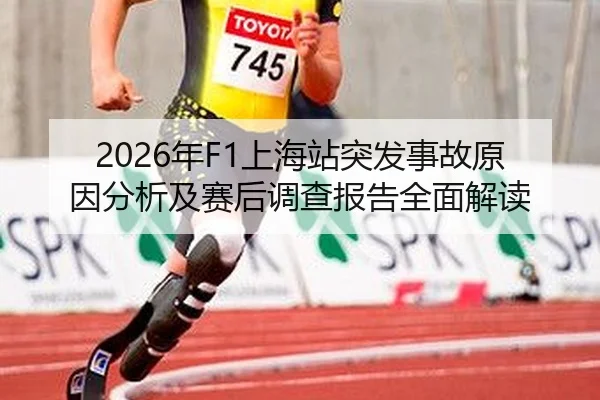 nian-shang-hai-zhan-tu-fa-shi-gu-yuan-yin-fen-xi-ji-sai-hou-diao-cha-bao-gao-quan-mian-jie-du-2-235.jpg